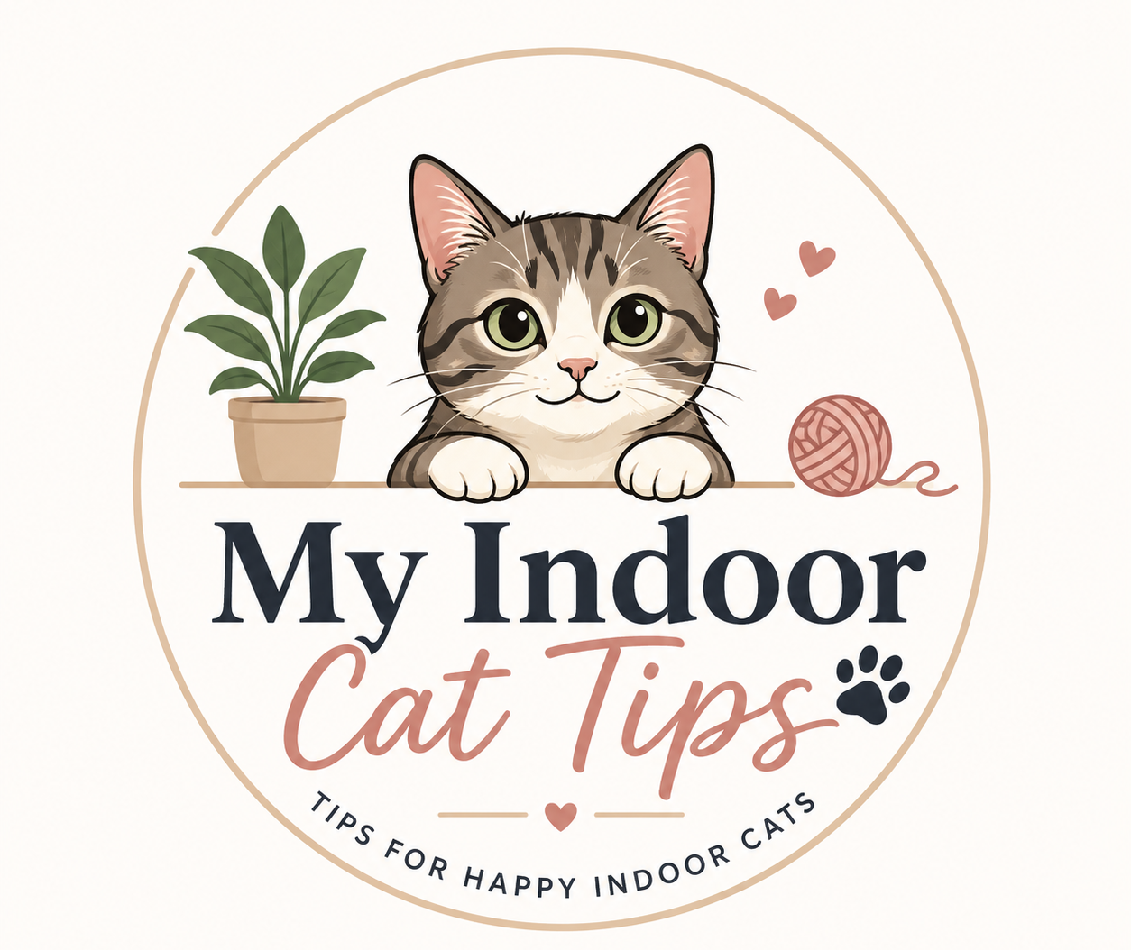 My Indoor Cat Tips